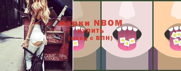 молекула духа Надым