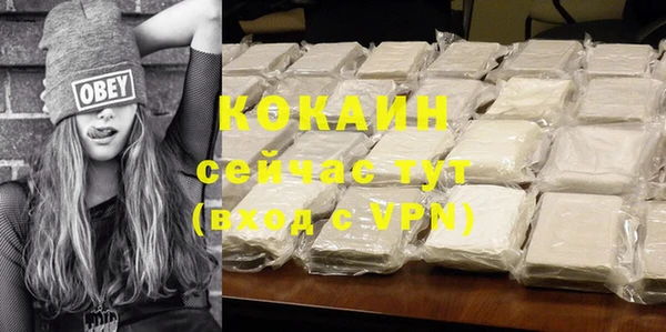 молекула духа Надым