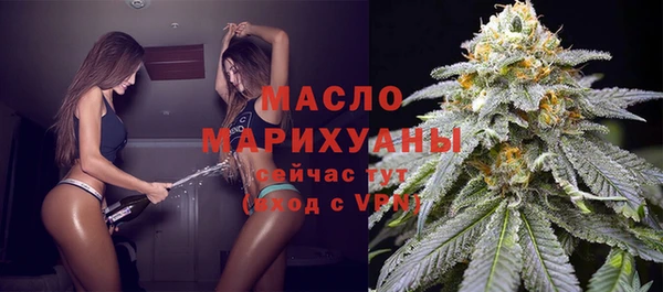 молекула духа Надым