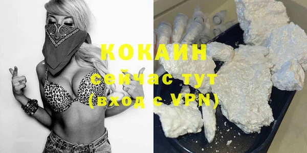 молекула духа Надым