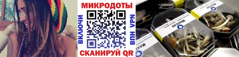 магазин продажи   Сочи  Псилоцибиновые грибы Cubensis 