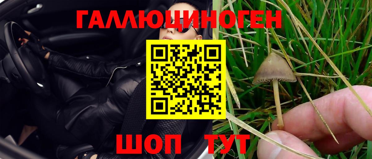 Сочи  Псилоцибиновые грибы мухоморы  Вход с VPN 